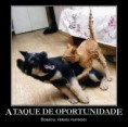 /album/rpg/oportunidade-jpg/